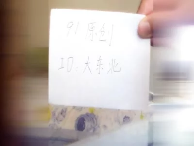 那还能听你的啦！哈